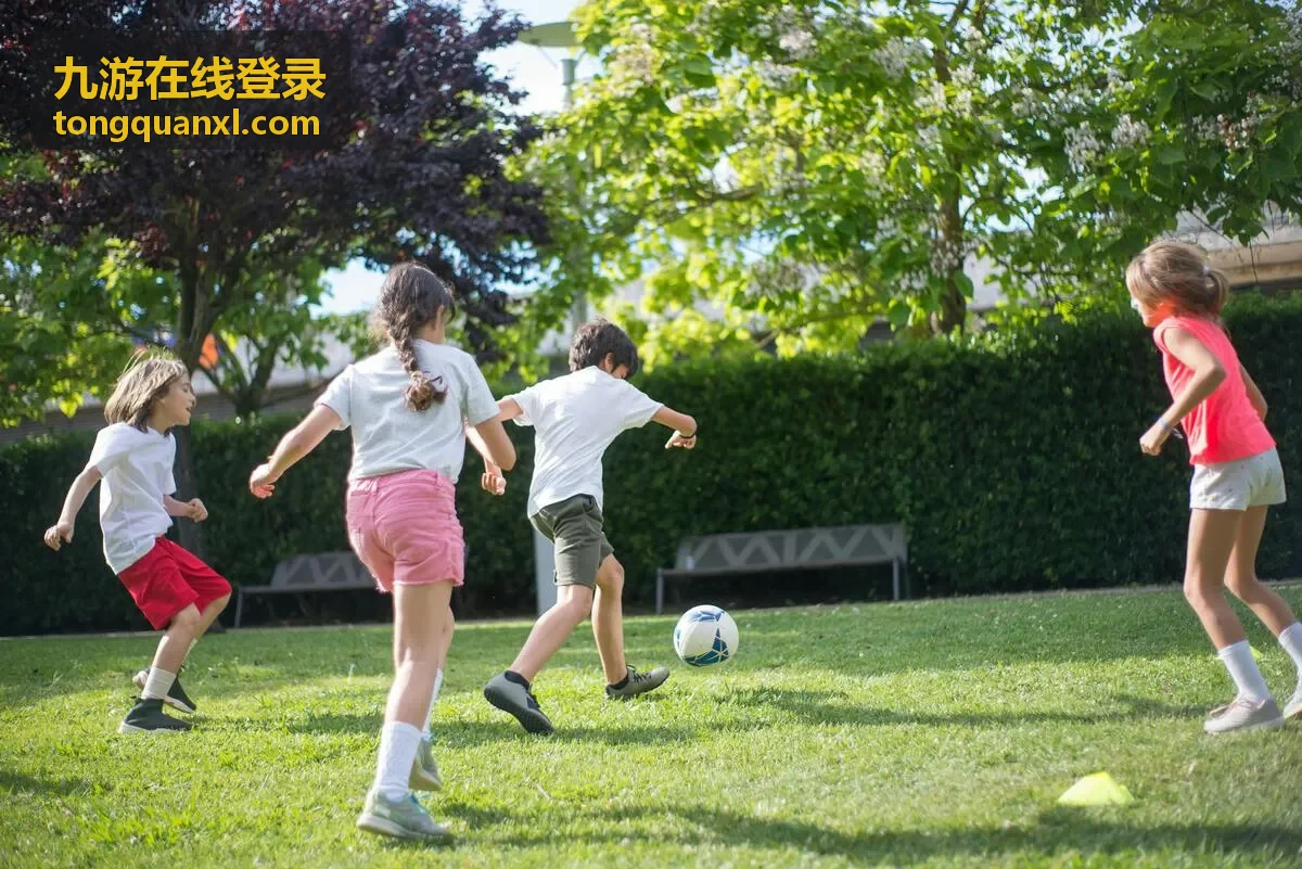 九游在线登录验证码获取与有效期说明配图